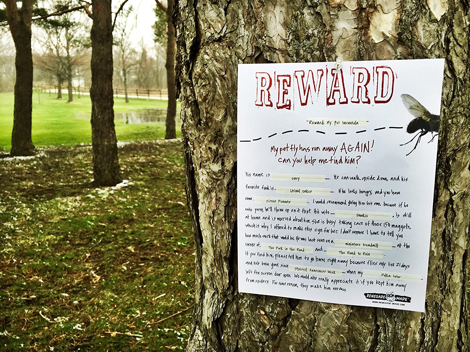 Made You Look Kit - SuperMom Headquarters