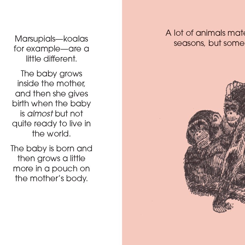 Animals Mate: A Book About Where Babies Come From - SuperMom Headquarters